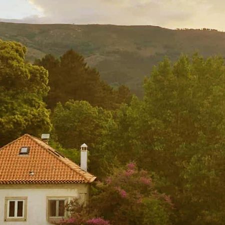 Casa Das Essencias, Quinta De Santo Antonio Covilha Bagian luar foto